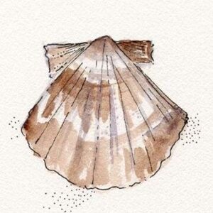 Meet your Posher, Cristine